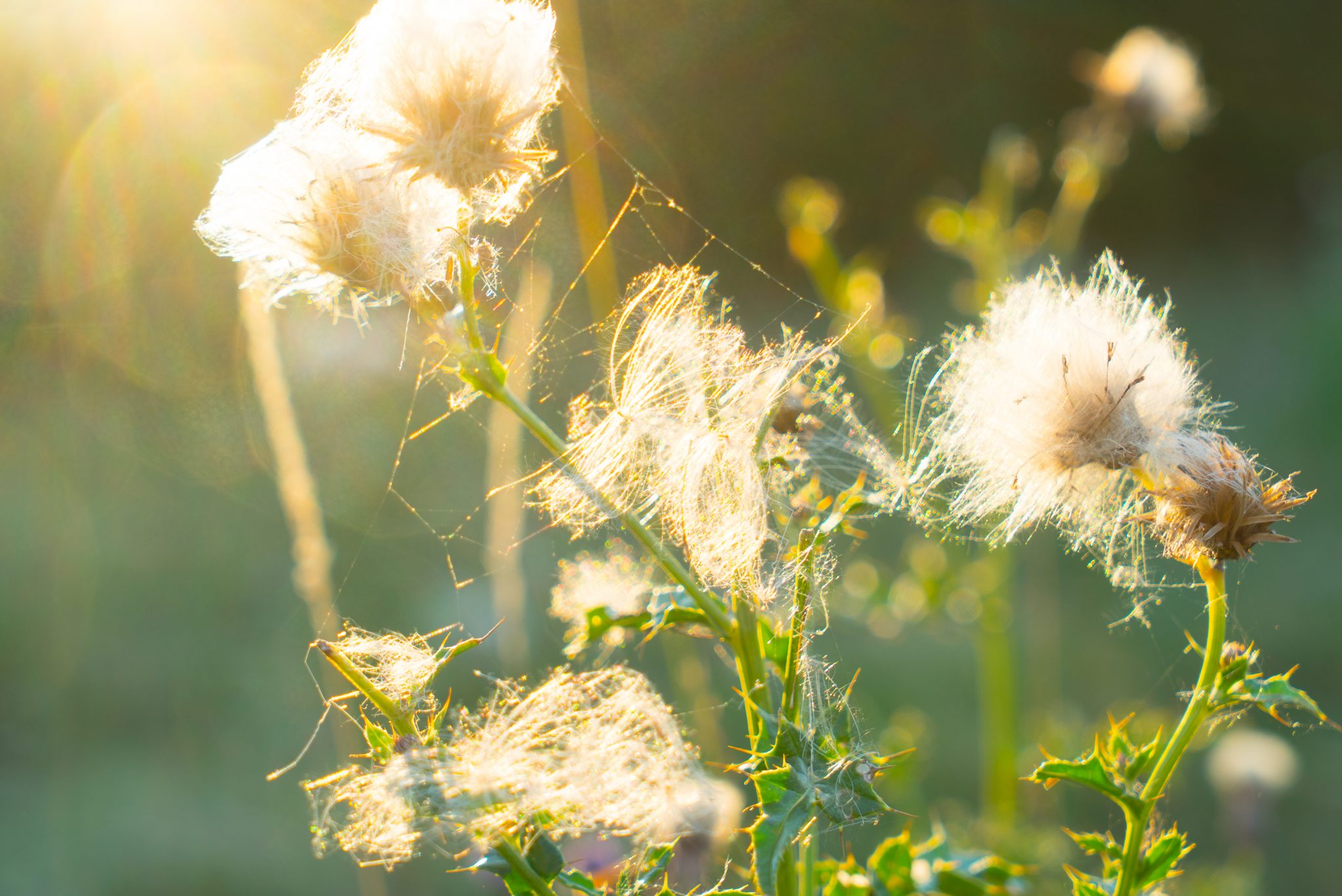 5 simple ways to stop over-thinking.