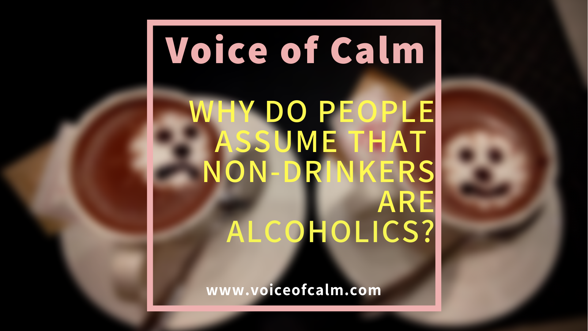 People Who Live Without Alcohol Aren’t All Recovering