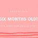6 Incredible Months At Voice Of Calm And A Call To Share